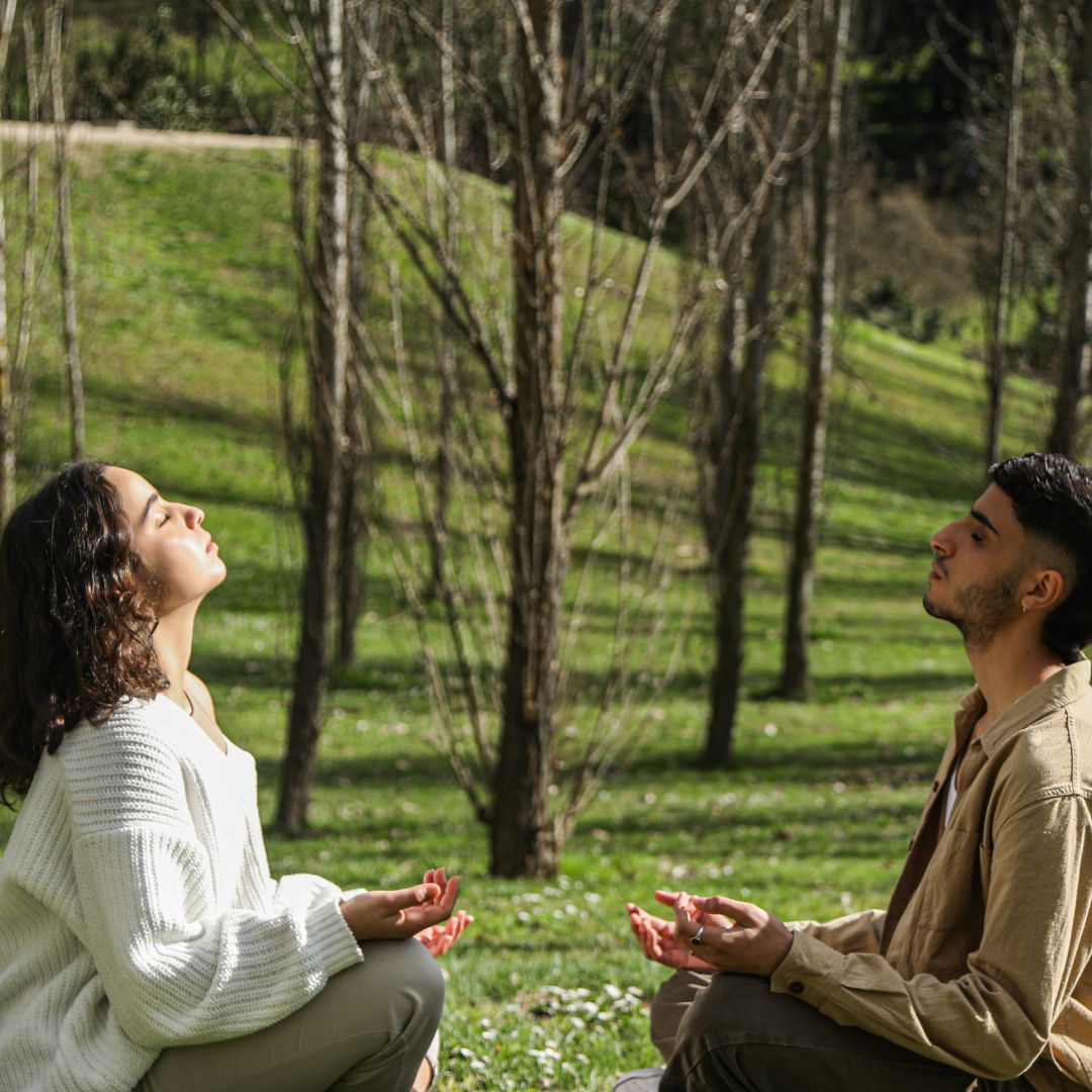 Nature Therapy & Mental Clarity: Insights Wellbeing Explores the Science